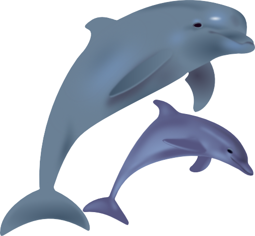 Dolphins Delfinai