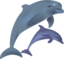 Dolphins Delfinai