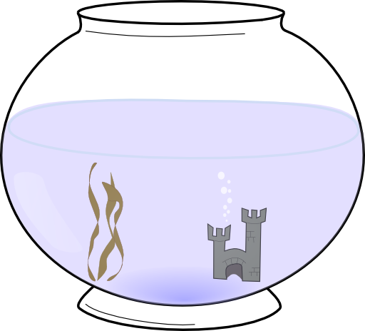 Fishbowl 2