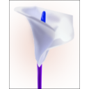 download The Lily clipart image with 180 hue color