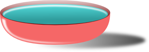 Bowl Of Soup