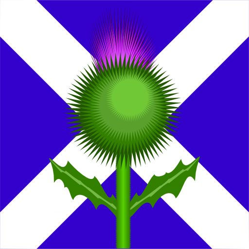 Scottish Thistle And Flag