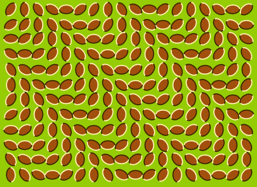 Optical Illusion 1