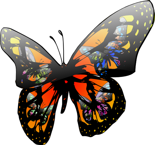 Butterfly Effect
