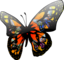 Butterfly Effect