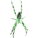download Kreuzspinne Muster 5 clipart image with 90 hue color