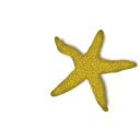 download Red Starfish clipart image with 45 hue color