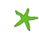 download Red Starfish clipart image with 90 hue color