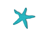 download Red Starfish clipart image with 180 hue color