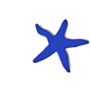 download Red Starfish clipart image with 225 hue color