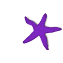 download Red Starfish clipart image with 270 hue color