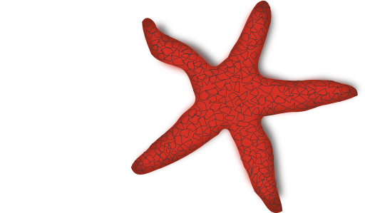 Red Starfish