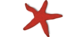 Red Starfish