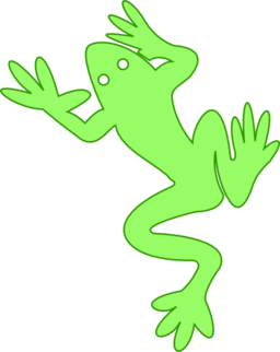 Frog 03