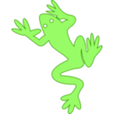 Frog 03