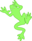 Frog 03