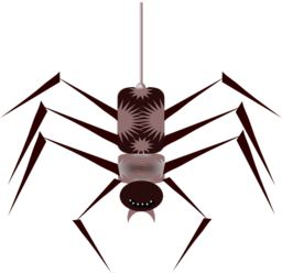 Spider Vecto