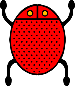 Architetto Coccinella 02
