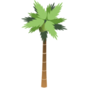 download Palm Tree clipart image with 0 hue color