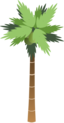 Palm Tree