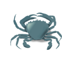 download The Crab clipart image with 135 hue color