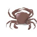download The Crab clipart image with 315 hue color