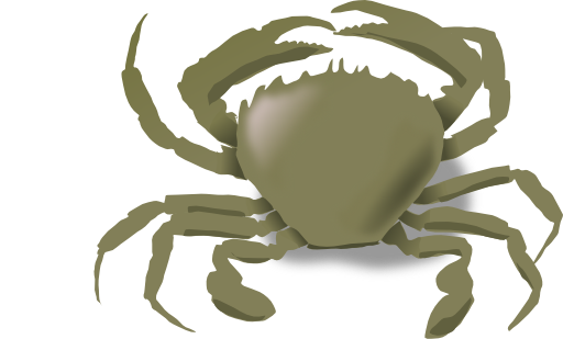 The Crab