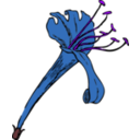 download Honeysuckle clipart image with 225 hue color