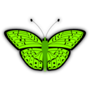 download Butterfly clipart image with 45 hue color