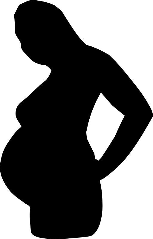 Pregnant Woman Silhouette