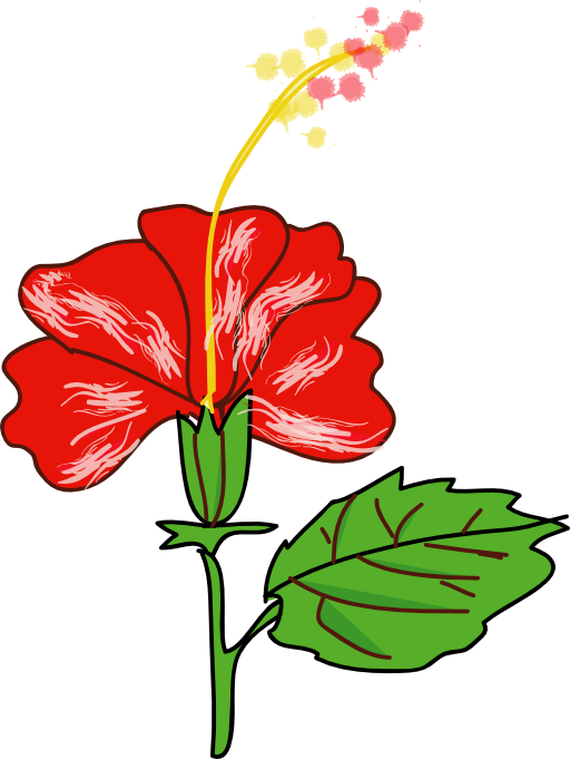 Flower Hibiscus