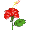 download Flower Hibiscus clipart image with 0 hue color