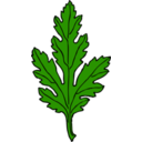 download Chrysanthemum Leaf clipart image with 315 hue color