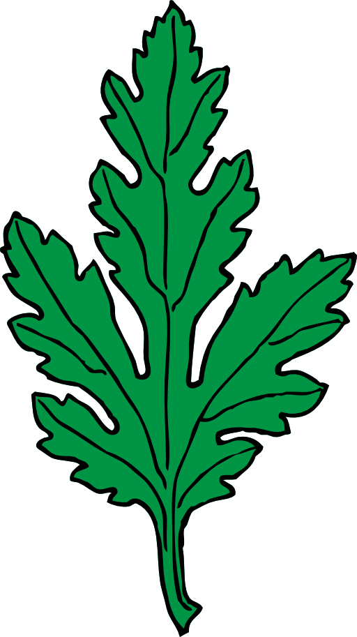 Chrysanthemum Leaf