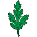 download Chrysanthemum Leaf clipart image with 0 hue color