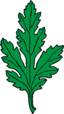Chrysanthemum Leaf