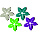 download Flower Flor clipart image with 45 hue color