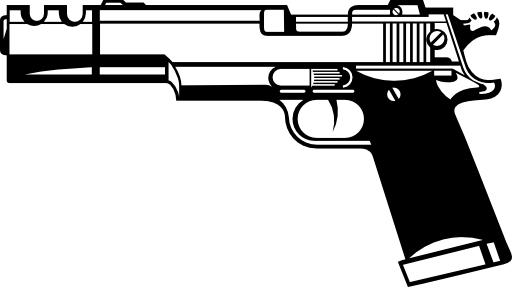 Gun