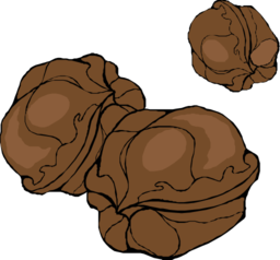 Walnuts