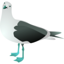 download Gull Marcelo Staudt 01 clipart image with 135 hue color