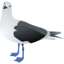 download Gull Marcelo Staudt 01 clipart image with 180 hue color
