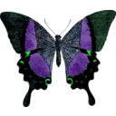 download Papilio Buddha clipart image with 90 hue color