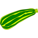 Zucchini