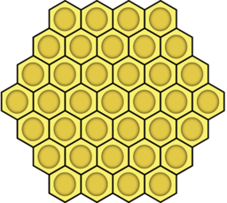 Honeycomb