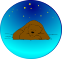 Sleeping Bear Under The Stars