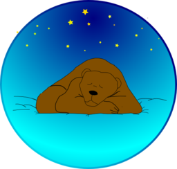 Sleeping Bear Under The Stars