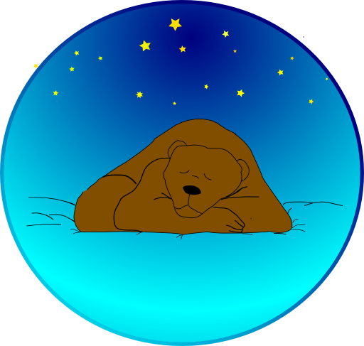 Sleeping Bear Under The Stars