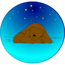 Sleeping Bear Under The Stars