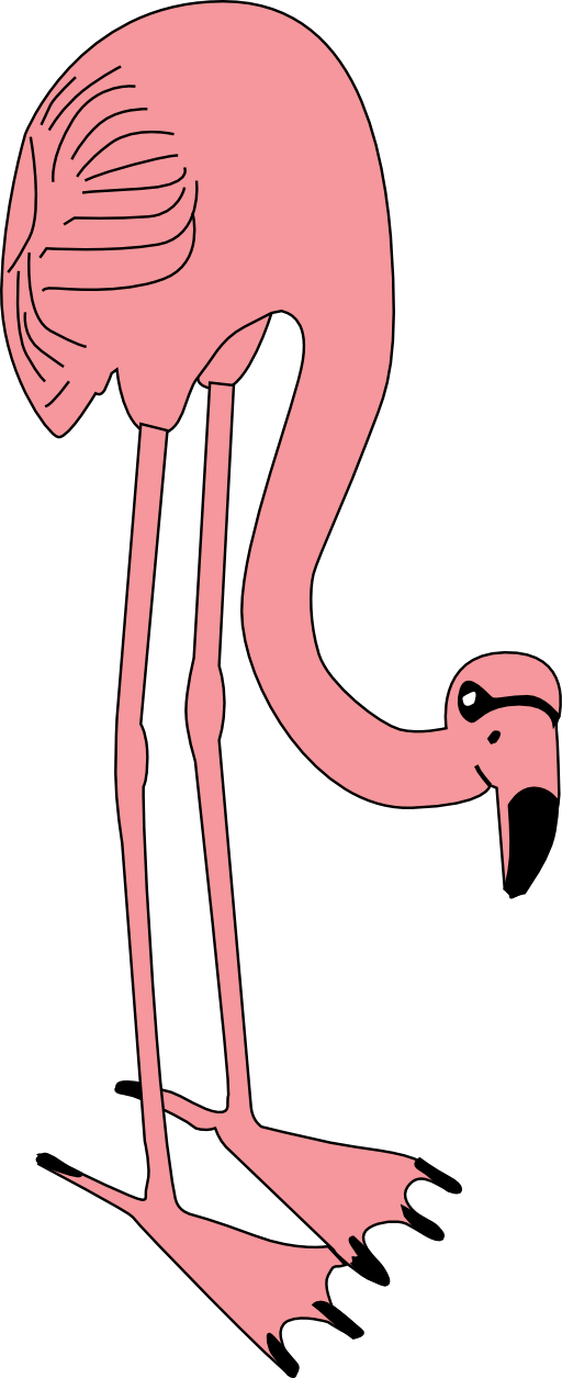 Flamingo