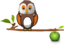 Owl On Branch